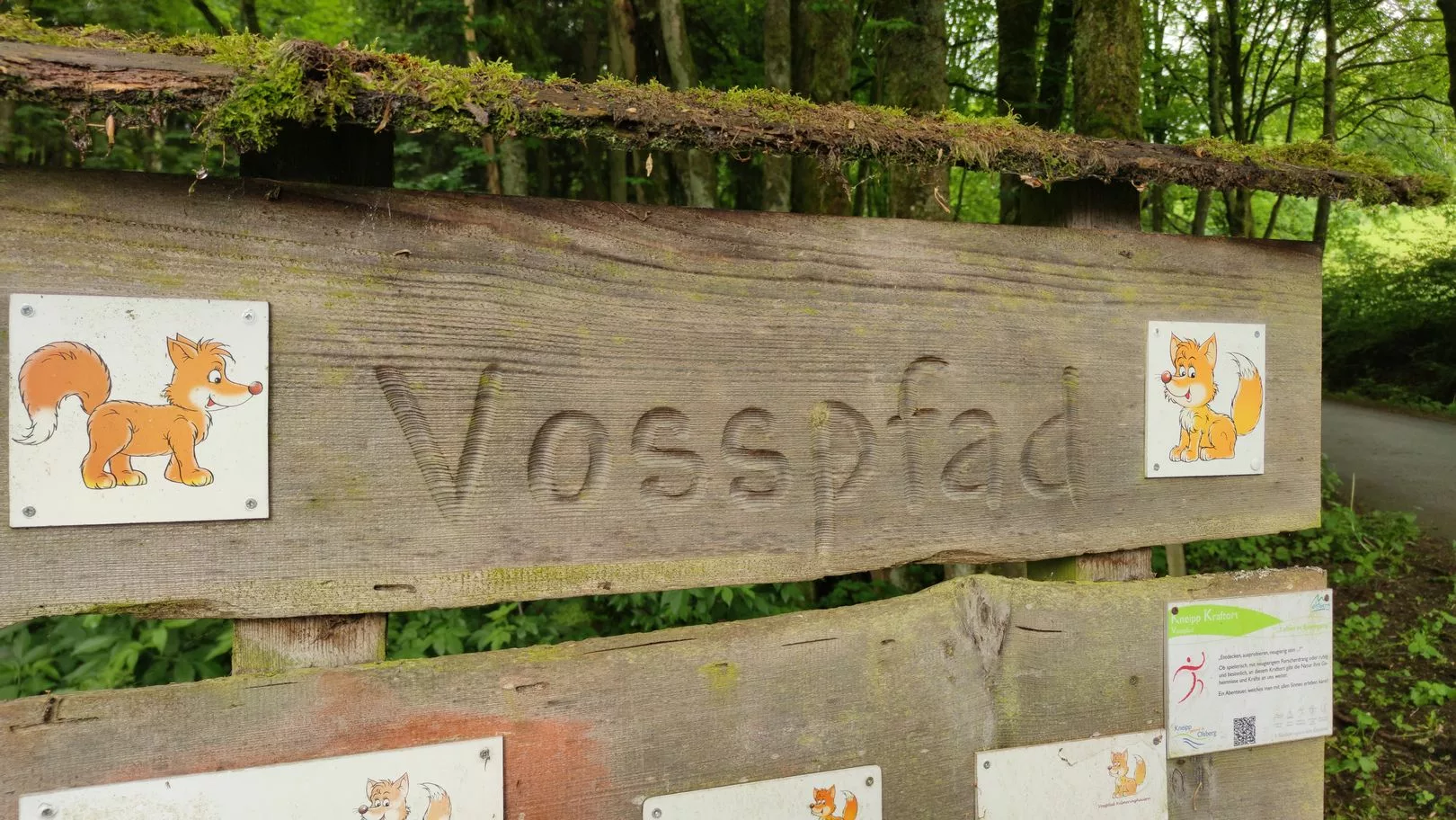 Vosspfad von Helmeringhausen bei Olsberg