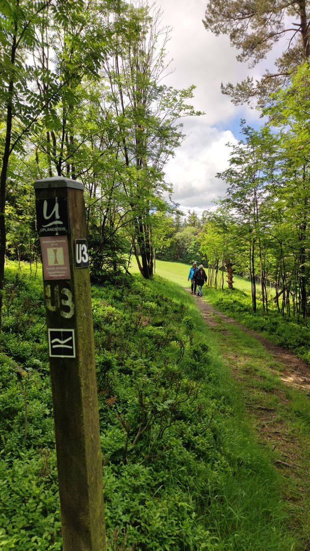 schmaler Pfad auf dem Uplandsteig