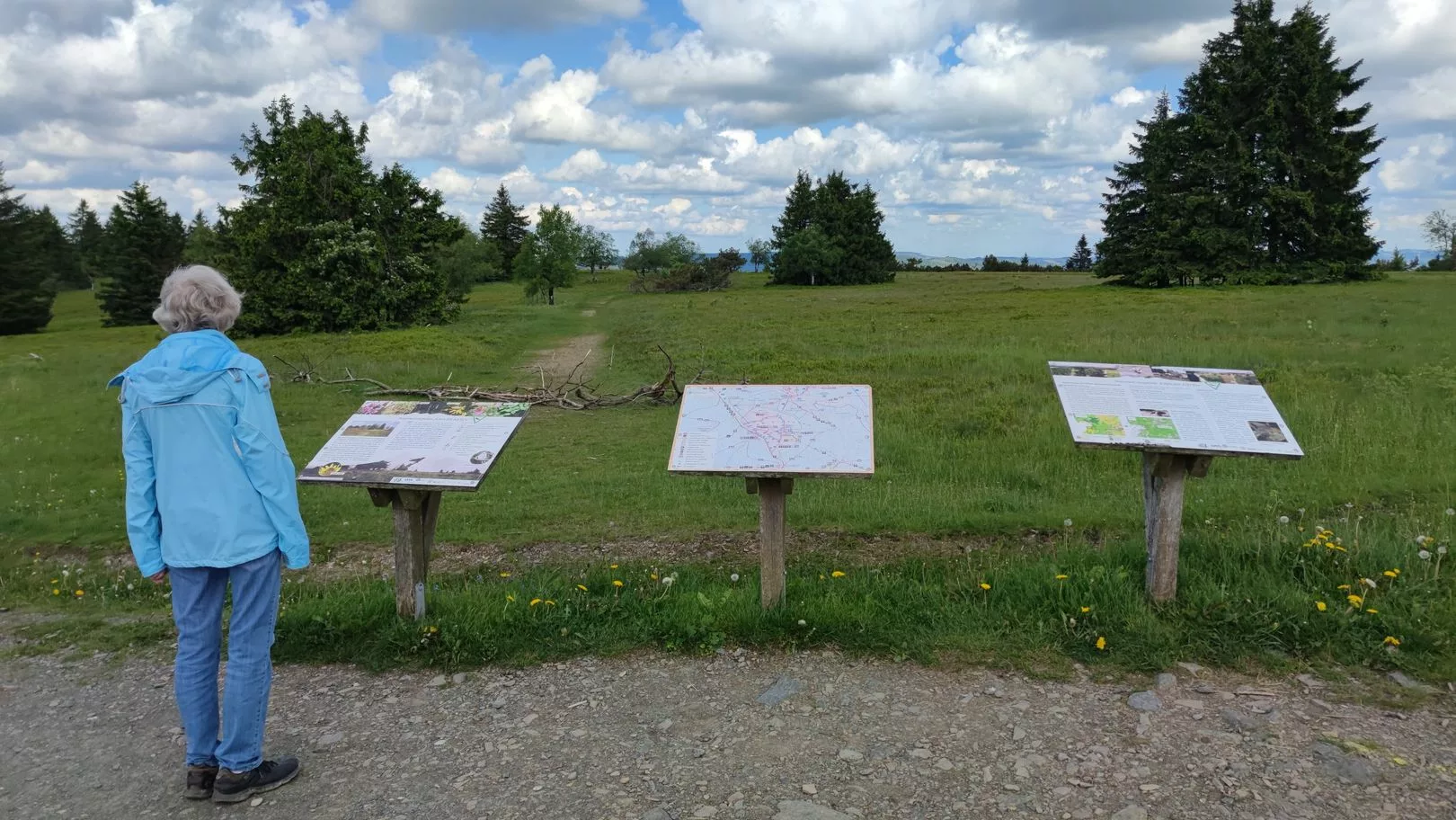 Hochheidepfad am Kahlen Asten