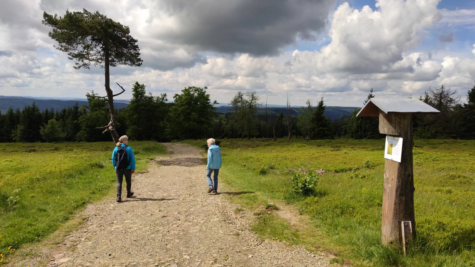 Hochheidepfad am Kahlen Asten