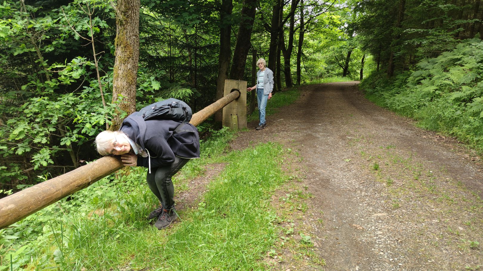 Baumstamm-Telefon auf dem Sinne Pfad am Hennesee