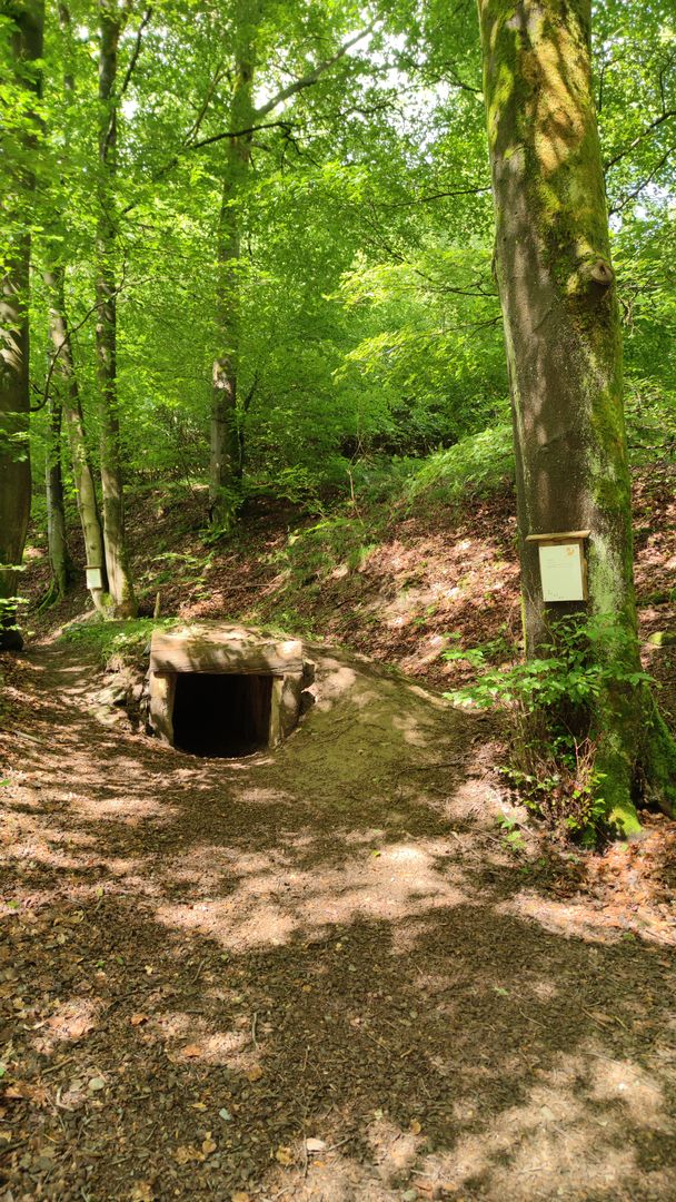 Fuchsbau bei Olsberg, Helmeringhausen