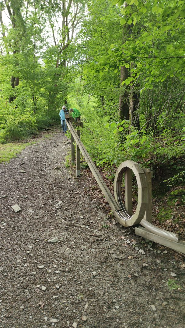 Holzkugelbahn Vosspfad